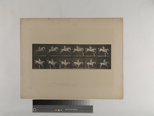 Animal Locomotion. Plate 643.