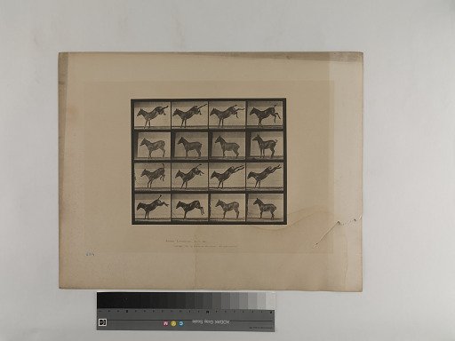 Animal Locomotion. Plate 658.