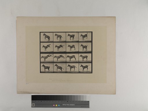 Animal Locomotion. Plate 659.