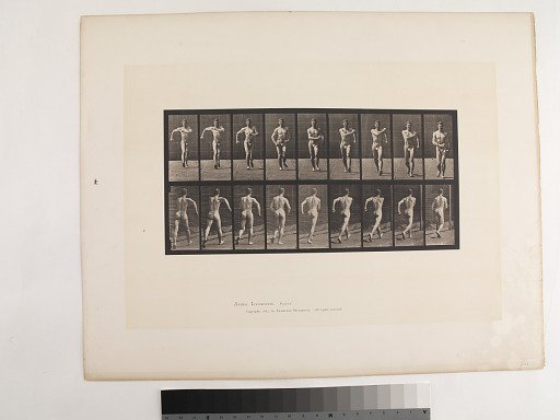 Animal Locomotion. Plate 3.