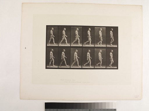 Animal Locomotion. Plate 6.