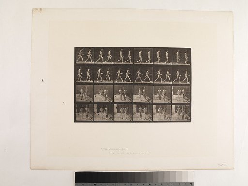 Animal Locomotion. Plate 12.
