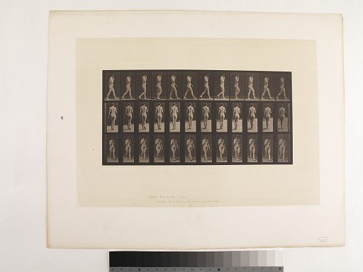 Animal Locomotion. Plate 14.