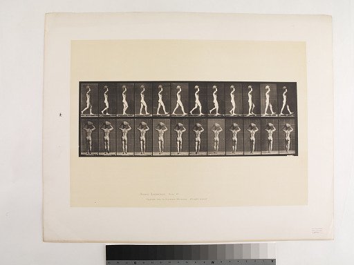Animal Locomotion. Plate 27.