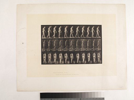 Animal Locomotion. Plate 42.