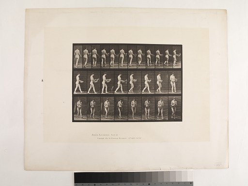 Animal Locomotion. Plate 43.