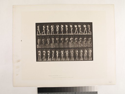 Animal Locomotion. Plate 46.