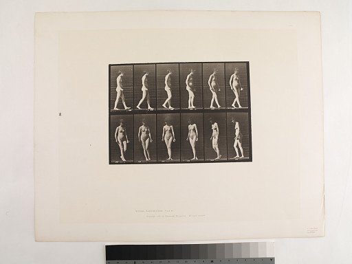 Animal Locomotion. Plate 47.