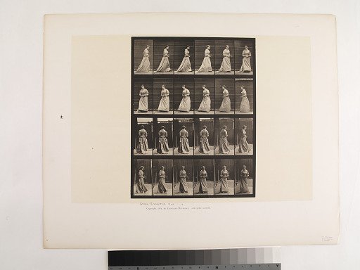 Animal Locomotion. Plate 48.