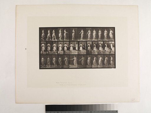 Animal Locomotion. Plate 53.