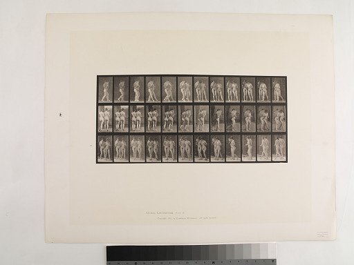 Animal Locomotion. Plate 54.