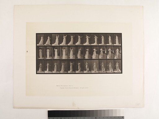 Animal Locomotion. Plate 55.
