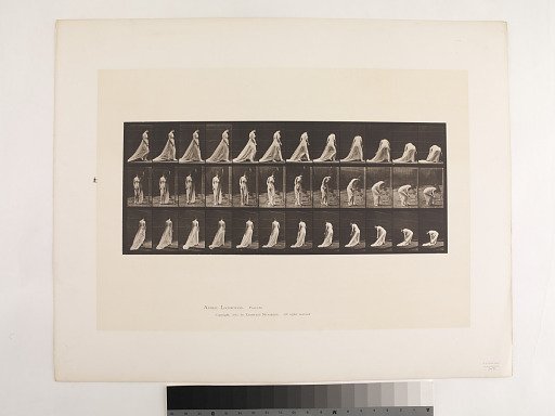 Animal Locomotion. Plate 56.