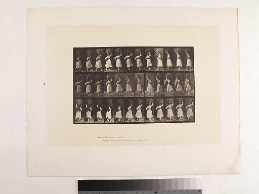 Animal Locomotion. Plate 57.