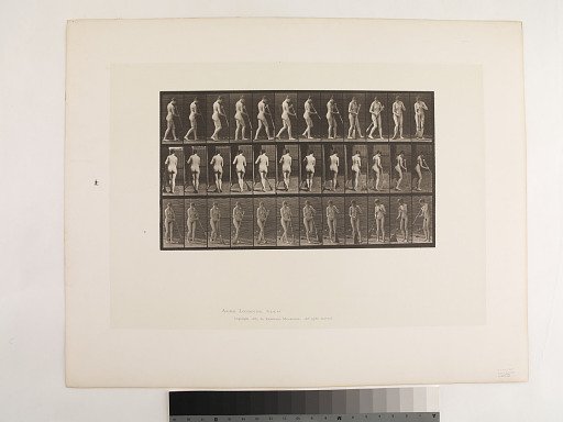 Animal Locomotion. Plate 58.