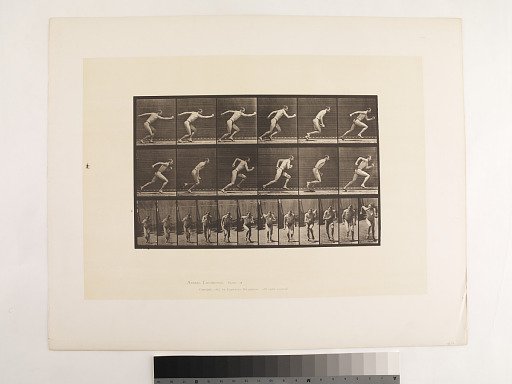 Animal Locomotion. Plate 59.