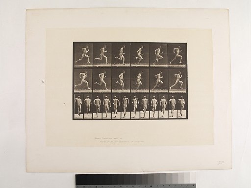 Animal Locomotion. Plate 62.