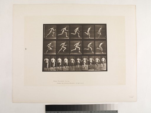Animal Locomotion. Plate 63.