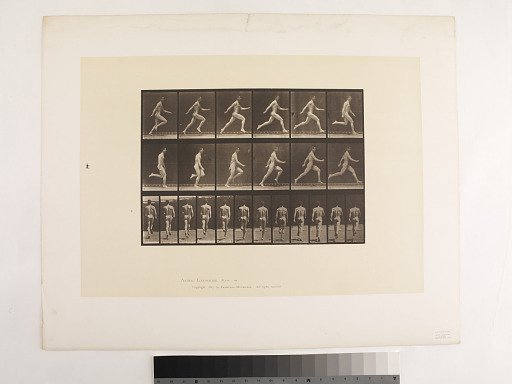 Animal Locomotion. Plate 64.