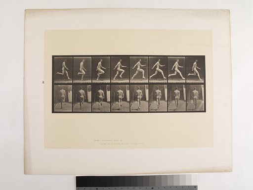 Animal Locomotion. Plate 65.