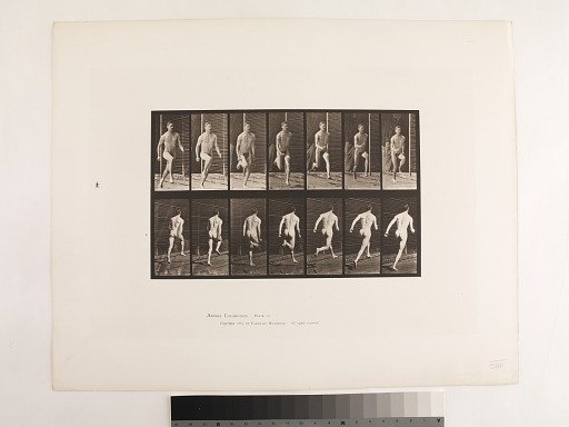 Animal Locomotion. Plate 66.