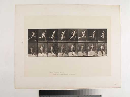 Animal Locomotion. Plate 67.