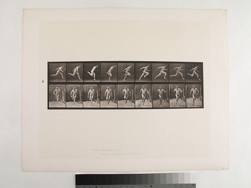 Animal Locomotion. Plate 68.
