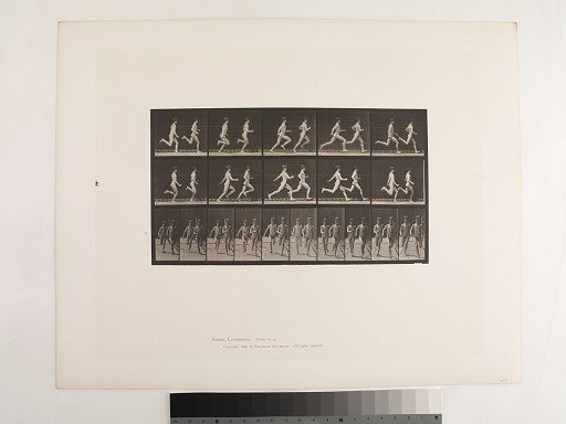 Animal Locomotion. Plate 69.