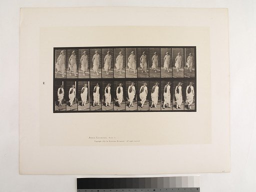 Animal Locomotion. Plate 71.