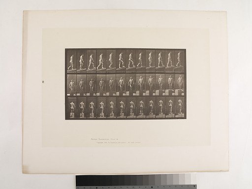 Animal Locomotion. Plate 74.