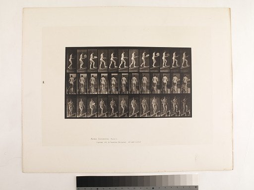 Animal Locomotion. Plate 78.