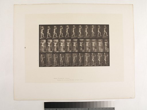 Animal Locomotion. Plate 80.