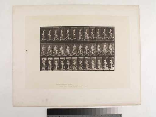 Animal Locomotion. Plate 82.