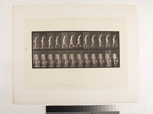 Animal Locomotion. Plate 84.