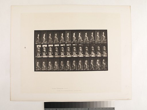 Animal Locomotion. Plate 87.