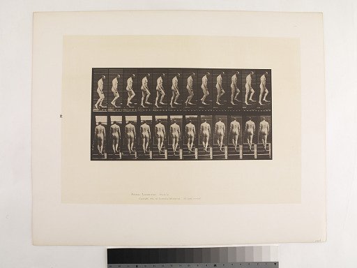Animal Locomotion. Plate 89.