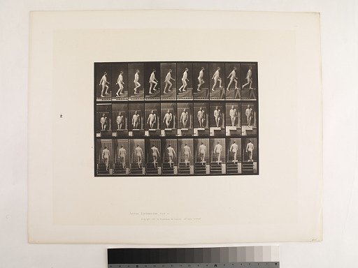 Animal Locomotion. Plate 90.