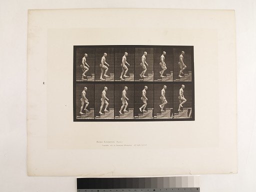 Animal Locomotion. Plate 91.