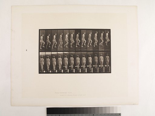 Animal Locomotion. Plate 92.