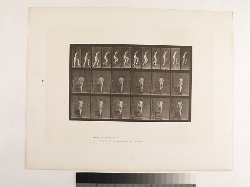 Animal Locomotion. Plate 93.