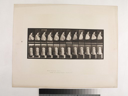 Animal Locomotion. Plate 95.