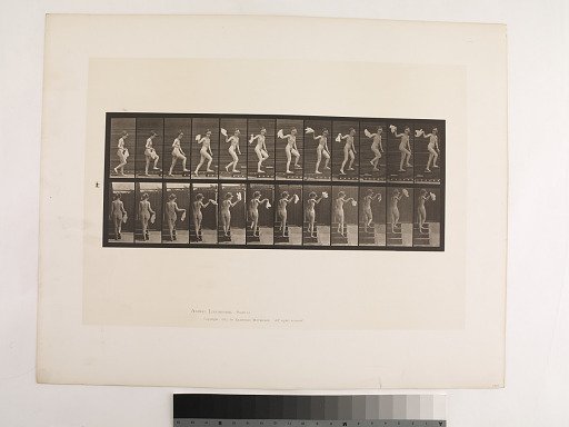 Animal Locomotion. Plate 96.