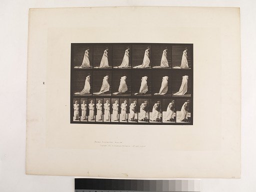 Animal Locomotion. Plate 100.