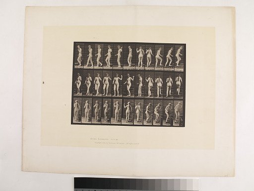 Animal Locomotion. Plate 101.
