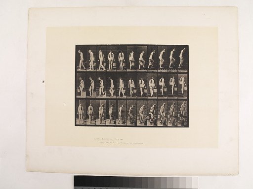 Animal Locomotion. Plate 102.
