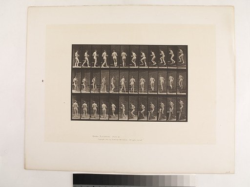 Animal Locomotion. Plate 103.