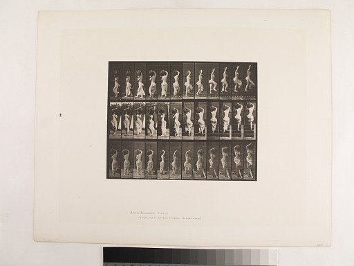 Animal Locomotion. Plate 105.