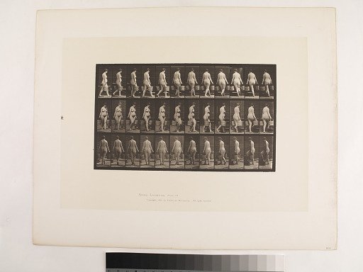 Animal Locomotion. Plate 106.
