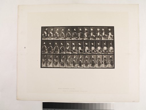 Animal Locomotion. Plate 107.