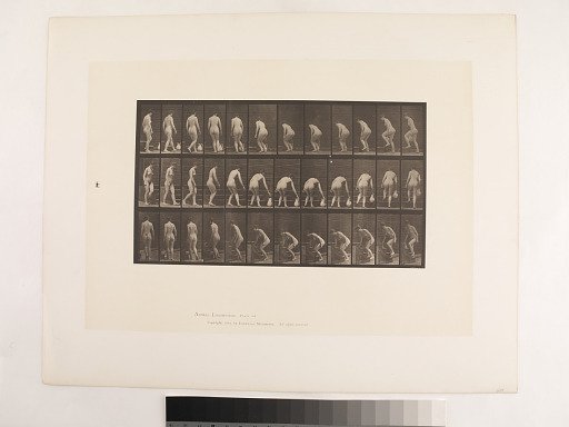 Animal Locomotion. Plate 108.